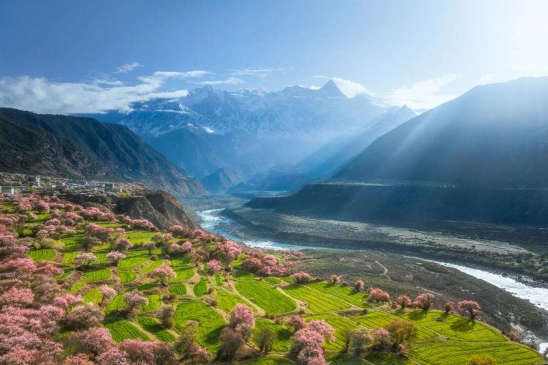 linzhi