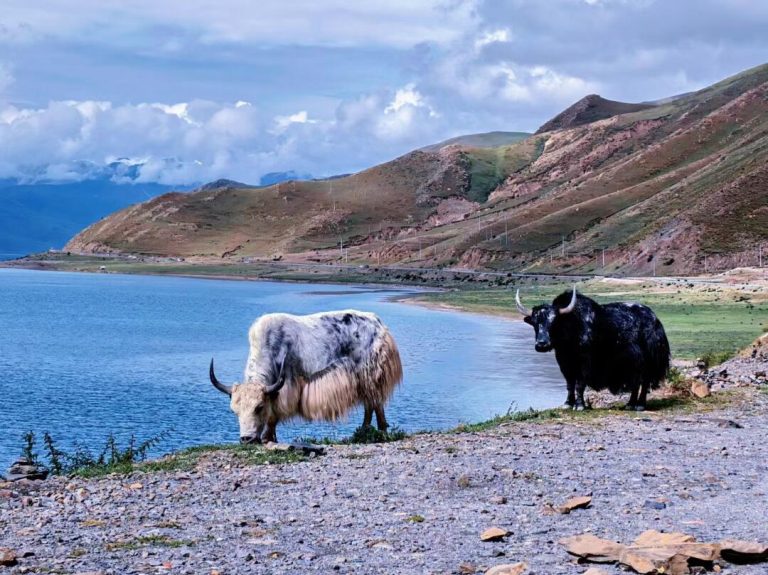 yamdrok lake