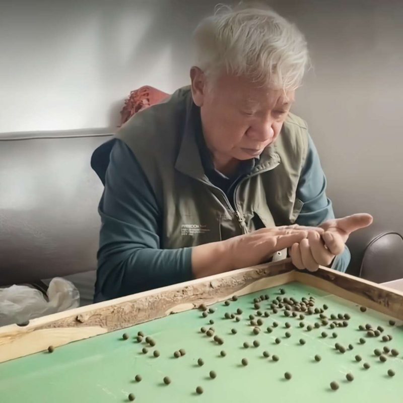 tibetan heritage keeper