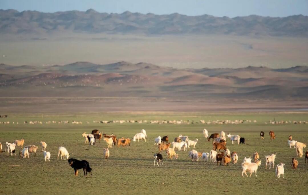 tibetan plateau​