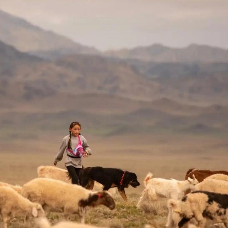 tibetan plateau